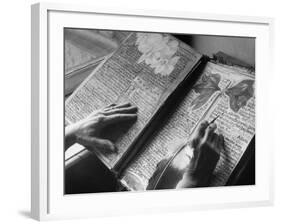 Princess Rewriting an Ancient Manuscript at the Palace of the Thurn and Taxis-null-Framed Photographic Print