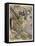 Princess, Swineherd Kiss-Arthur Rackham-Framed Stretched Canvas