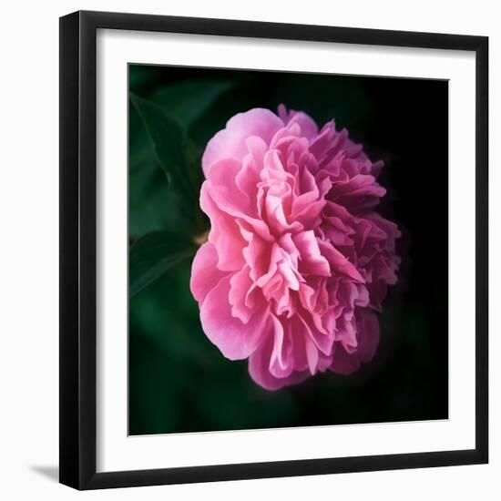 Princess-Philippe Sainte-Laudy-Framed Photographic Print