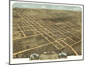 Princeton, Illinois - Panoramic Map-Lantern Press-Mounted Art Print