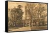 Princeton University Library, New Jersey-null-Framed Stretched Canvas