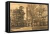 Princeton University Library, New Jersey-null-Framed Stretched Canvas