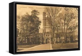 Princeton University Library, New Jersey-null-Framed Stretched Canvas