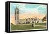 Princeton University, New Jersey-null-Framed Stretched Canvas