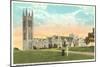 Princeton University, New Jersey-null-Mounted Art Print