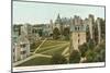 Princeton University, New Jersey-null-Mounted Art Print