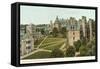 Princeton University, New Jersey-null-Framed Stretched Canvas