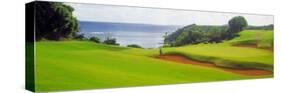 Princeville Golf Course, Kauai, Hawaii, USA-null-Stretched Canvas