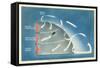 Principal Air Currents in the Northern Hemisphere-null-Framed Stretched Canvas