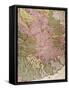 Principality of Genoa, Map, Paris-Nicolas Sanson-Framed Stretched Canvas