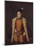 'Principe Don Carlos hijo de Felipe II', (Prince Carlos de Austria), 1557-1559, (c1934)-Alonso Sanchez Coello-Mounted Premium Giclee Print