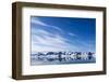 Prins Karls Forland, Svalbard, Norway-null-Framed Photographic Print