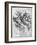 Print After a Drawing of Five Characters in a Comic Scene by Leonardo da Vinci-Bettmann-Framed Premium Giclee Print