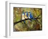 Print Art Bluebird Trio-Blenda Tyvoll-Framed Art Print