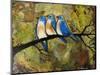 Print Art Bluebird Trio-Blenda Tyvoll-Mounted Art Print