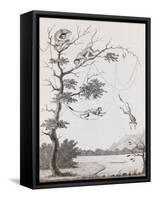 Print Engraving of the Mecco and Kishee Kishee Monkeys-William Blake-Framed Stretched Canvas