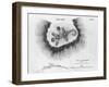 Print of a Burial Mount-null-Framed Giclee Print