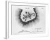 Print of a Burial Mount-null-Framed Giclee Print