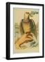 Print of a Dove Resting on a Woman's Hand-null-Framed Giclee Print