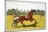 Print of a Trotting Pony Pulling a Racing Cart by Charles Olncelin-Stapleton Collection-Mounted Giclee Print