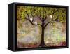 Print with Owls Moon River Tree-Blenda Tyvoll-Framed Stretched Canvas