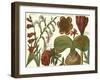 Printed Arena Botanical II-Vision Studio-Framed Art Print