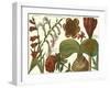 Printed Arena Botanical II-Vision Studio-Framed Art Print