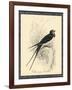 Printed Chimney Swallow-null-Framed Art Print