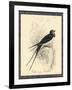 Printed Chimney Swallow-null-Framed Art Print