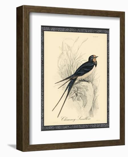 Printed Chimney Swallow-null-Framed Art Print