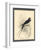 Printed Chimney Swallow-null-Framed Art Print