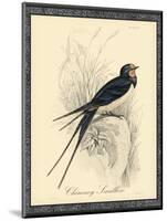 Printed Chimney Swallow-null-Mounted Art Print