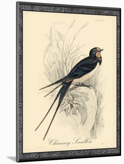 Printed Chimney Swallow-null-Mounted Art Print