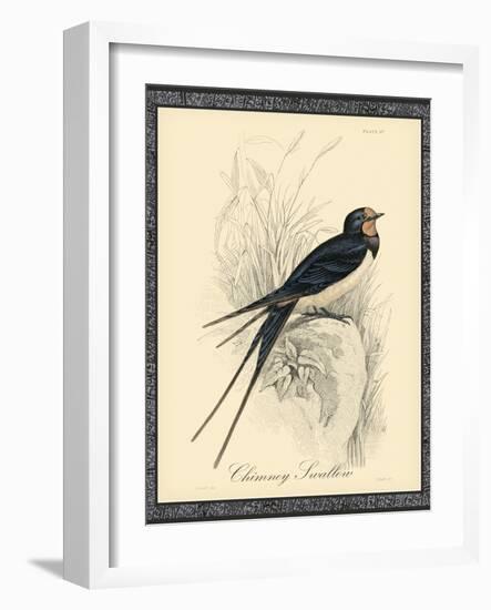 Printed Chimney Swallow-null-Framed Art Print