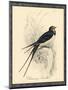 Printed Chimney Swallow-null-Mounted Art Print