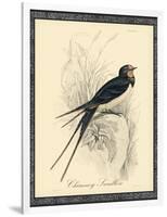 Printed Chimney Swallow-null-Framed Art Print