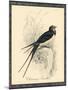 Printed Chimney Swallow-null-Mounted Art Print