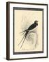 Printed Chimney Swallow-null-Framed Art Print