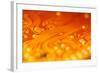 Printed Circuit-PASIEKA-Framed Premium Photographic Print