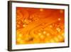 Printed Circuit-PASIEKA-Framed Premium Photographic Print