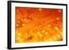 Printed Circuit-PASIEKA-Framed Premium Photographic Print