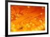 Printed Circuit-PASIEKA-Framed Photographic Print