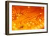 Printed Circuit-PASIEKA-Framed Photographic Print