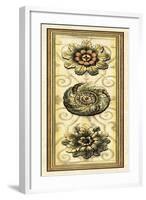 Printed Classic Rosette Panel I-Vision Studio-Framed Art Print