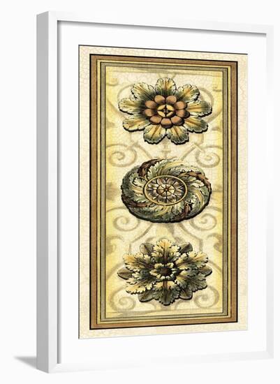 Printed Classic Rosette Panel I-Vision Studio-Framed Art Print