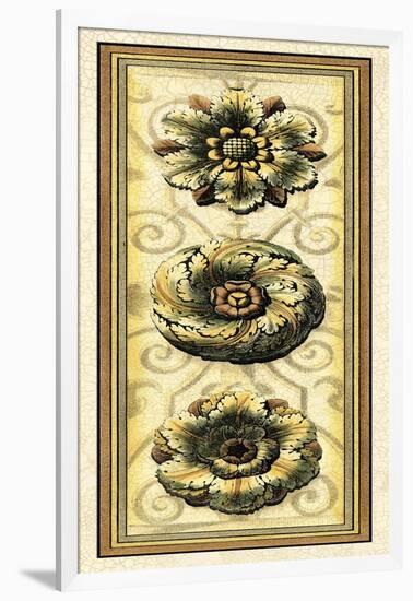 Printed Classic Rosette Panel II-Vision Studio-Framed Art Print