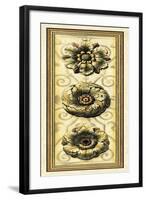 Printed Classic Rosette Panel II-Vision Studio-Framed Art Print