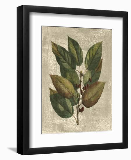 Printed Deshayes Trees IV-Vision Studio-Framed Art Print