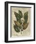 Printed Deshayes Trees IV-Vision Studio-Framed Art Print