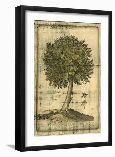 Printed Fruitful Realm I-Vision Studio-Framed Art Print